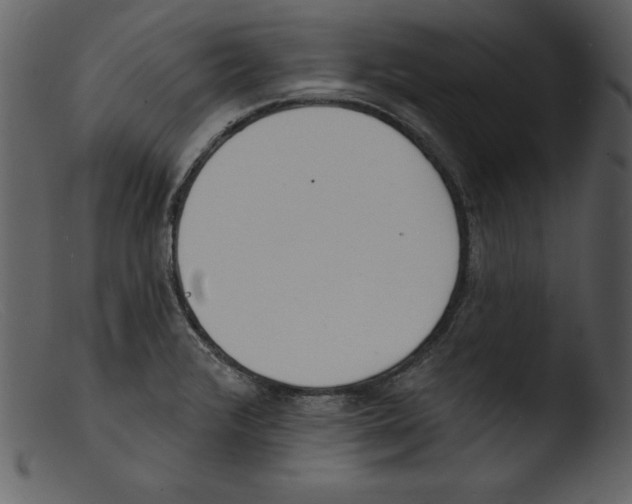 X0000103301376200809261303