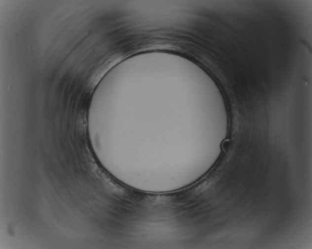 X0000103301377200809261303