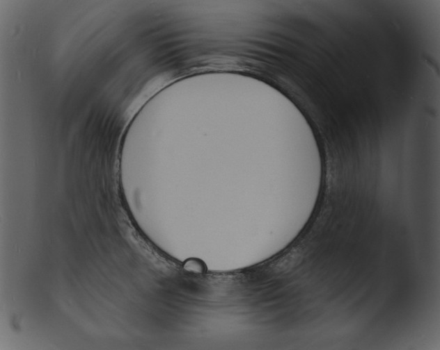 X0000103301378200809261303