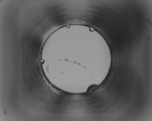 X0000103301379200809261303