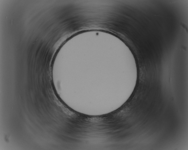 X0000103301380200809261303