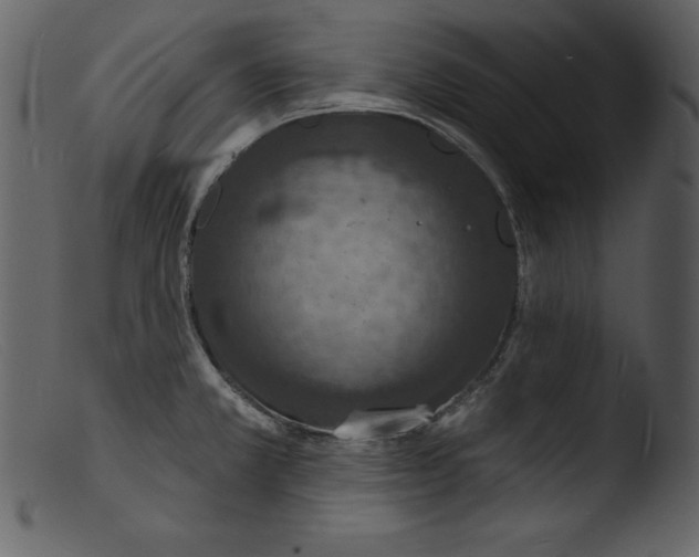 X0000103301381200809261303