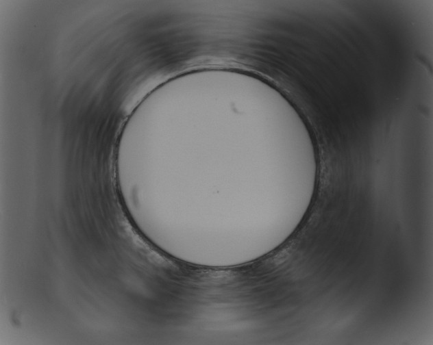 X0000103301382200809261303