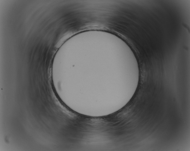 X0000103301383200809261303