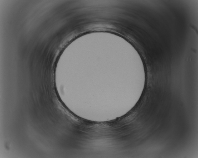 X0000103301384200809261303