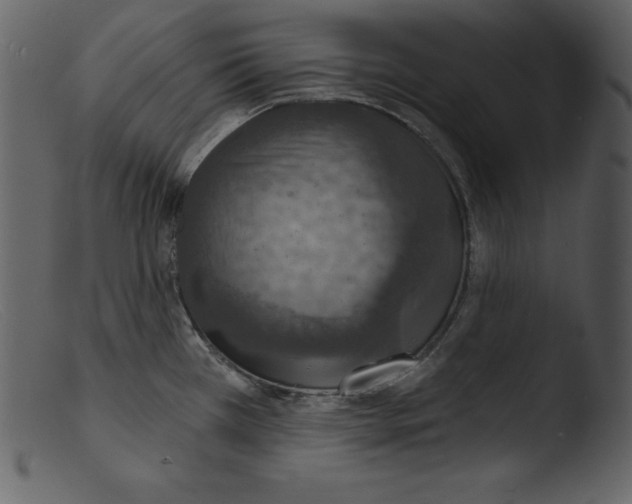 X0000103301385200809261303