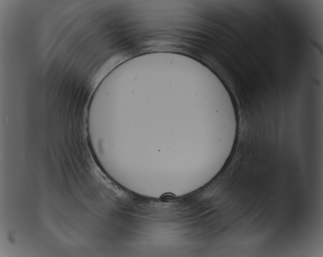 X0000103301386200809261303