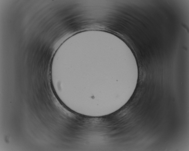 X0000103301387200809261303