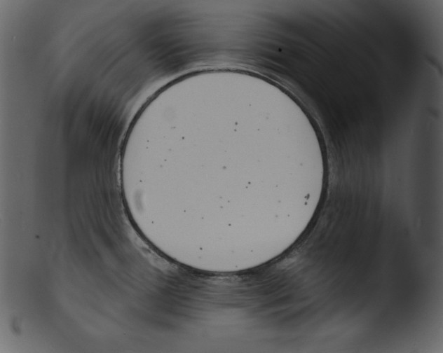 X0000103301388200809261303