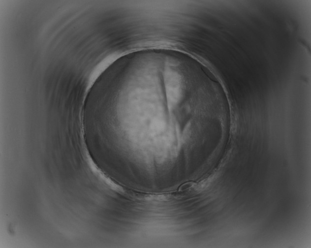 X0000103301389200809261303