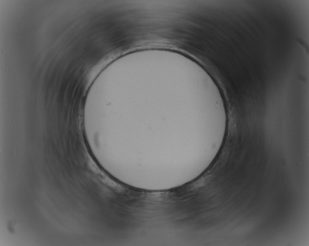 X0000103301390200809261303