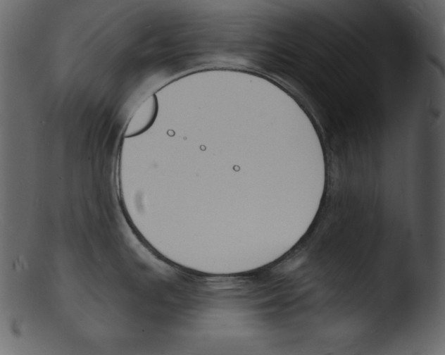 X0000103301391200809261303