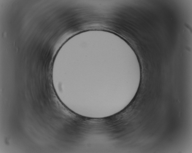 X0000103301392200809261303