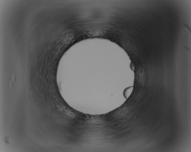 X0000103301393200809261302