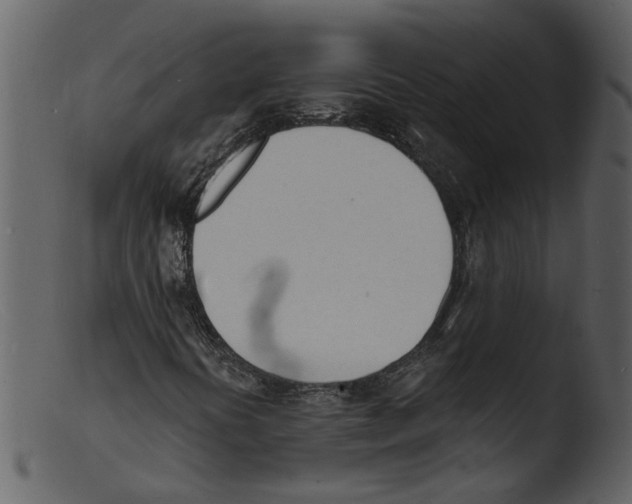 X0000103301394200809261302