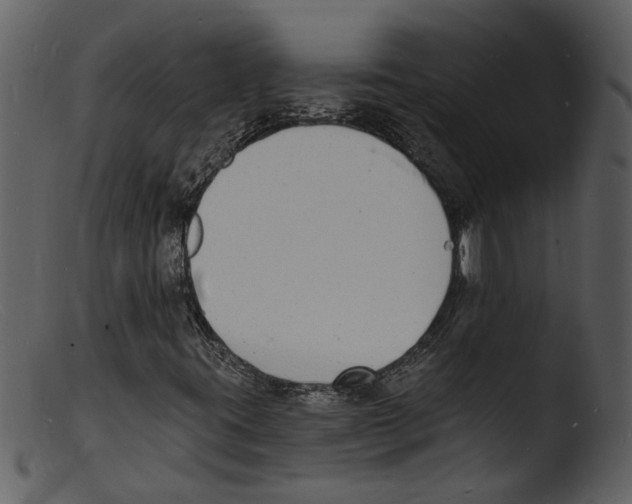 X0000103301395200809261302