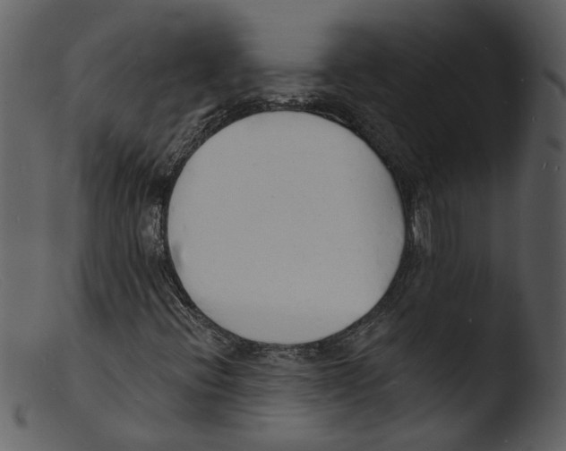 X0000103301396200809261302