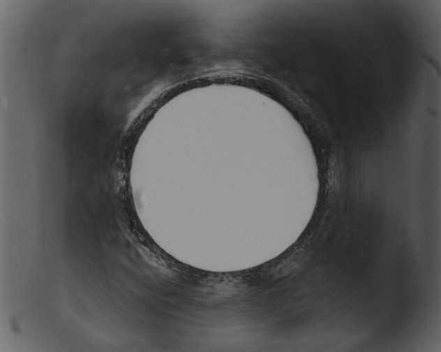 X0000103301400200809261302
