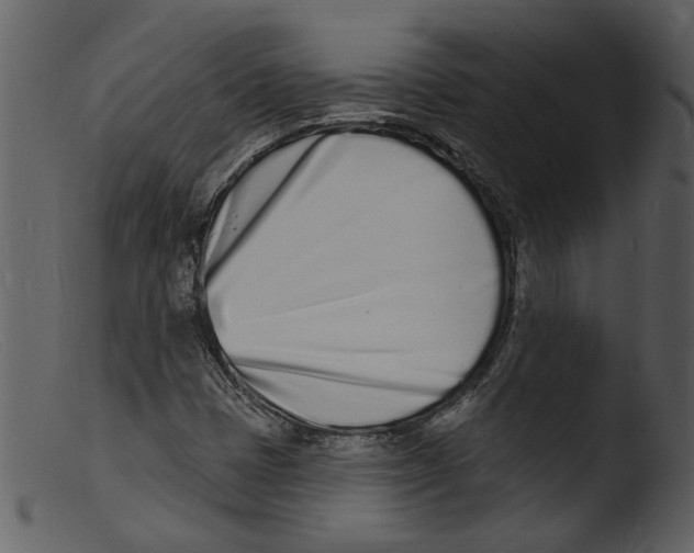 X0000103301401200809261302