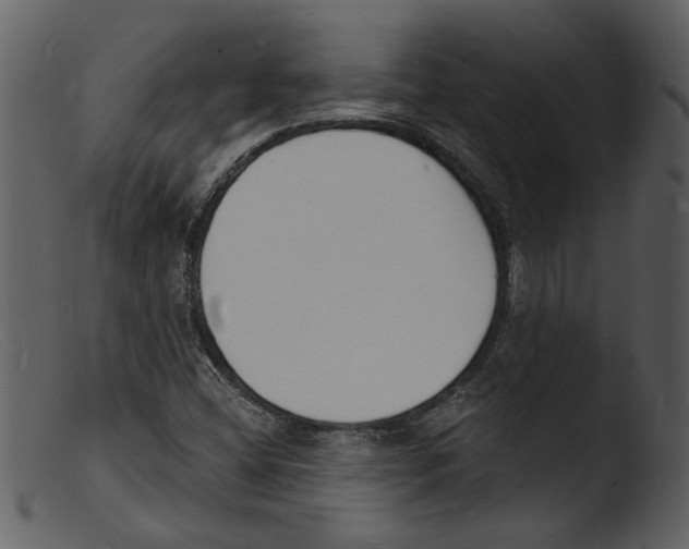 X0000103301404200809261302