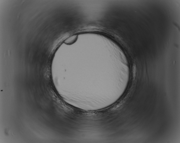 X0000103301405200809261302