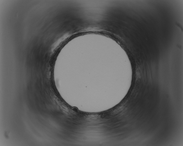 X0000103301406200809261302