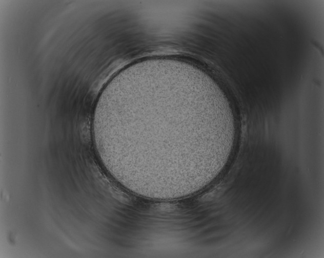 X0000103301409200809261302