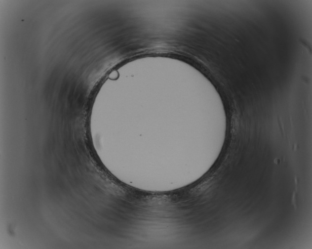 X0000103301410200809261302