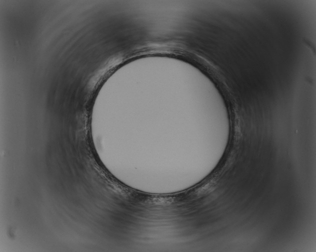 X0000103301411200809261302