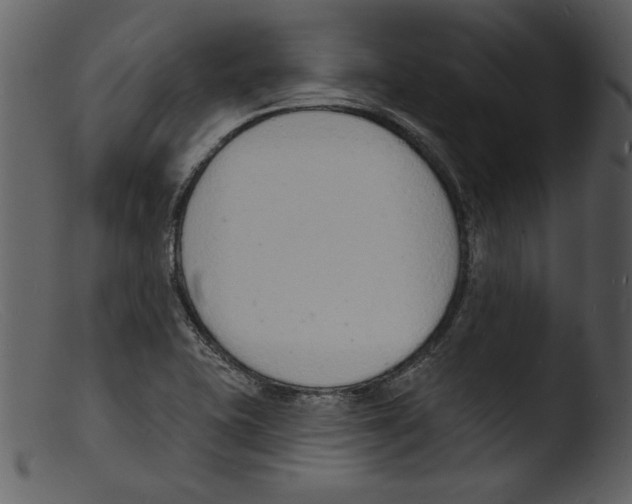 X0000103301415200809261302