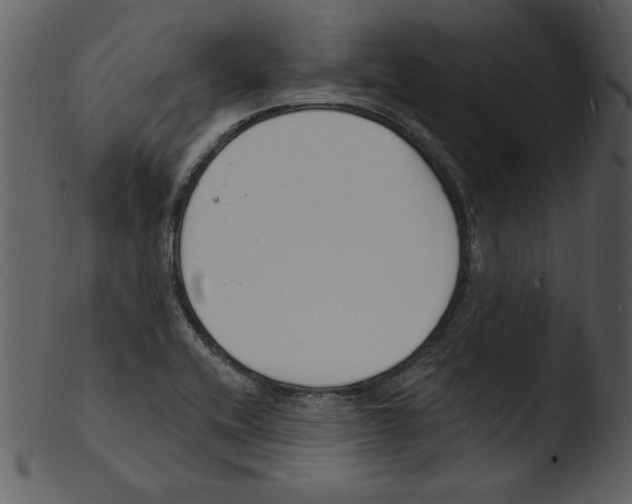 X0000103301416200809261302