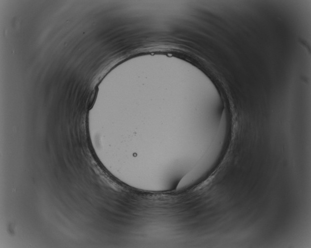 X0000103301417200809261302