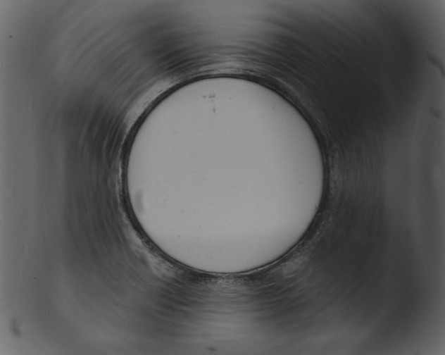 X0000103301418200809261302