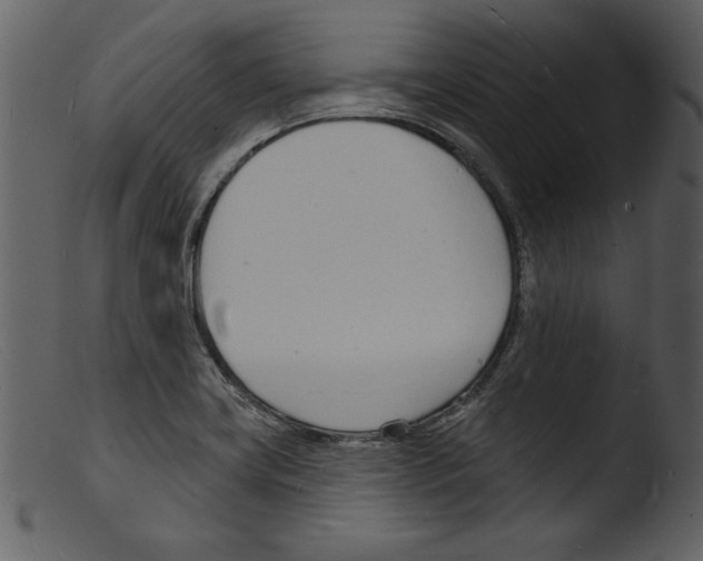 X0000103301419200809261302