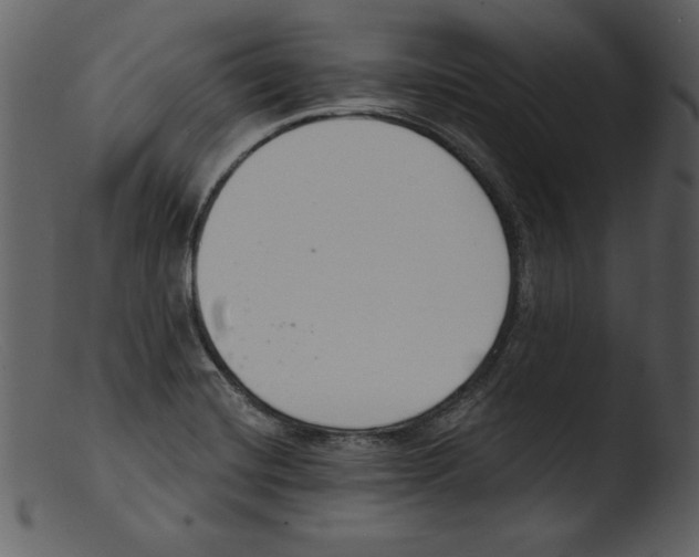 X0000103301420200809261302