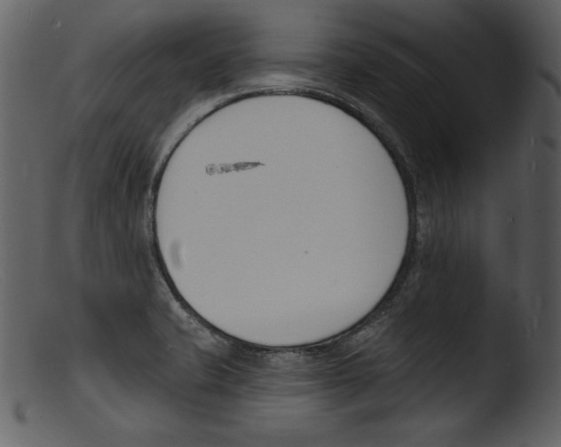 X0000103301421200809261302