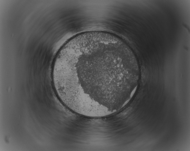 X0000103301422200809261302