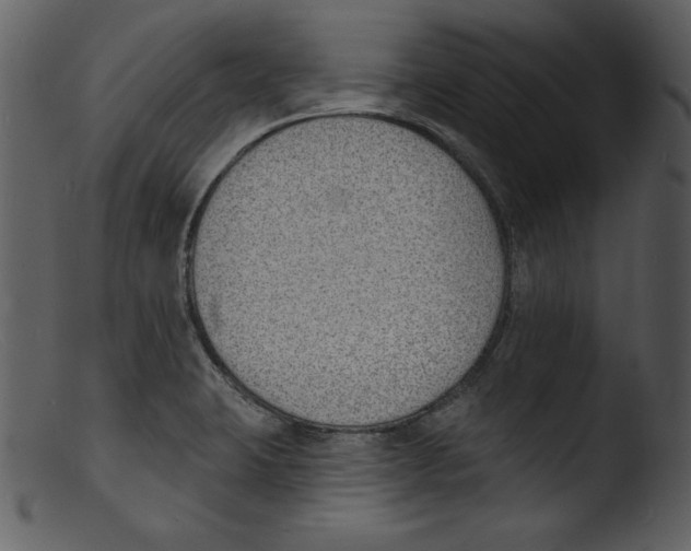 X0000103301423200809261302