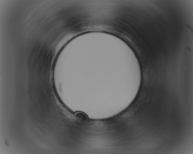 X0000103301424200809261302