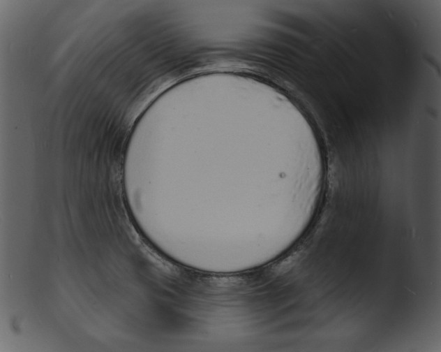 X0000103301425200809261302