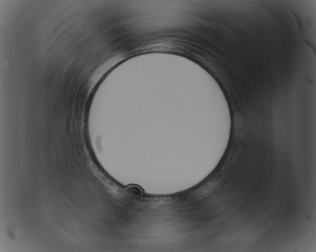 X0000103301426200809261302