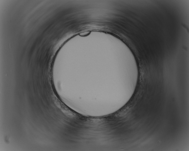 X0000103301427200809261302