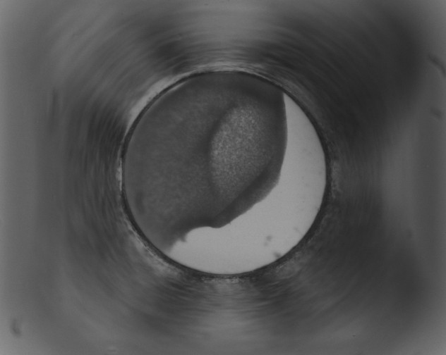 X0000103301428200809261302