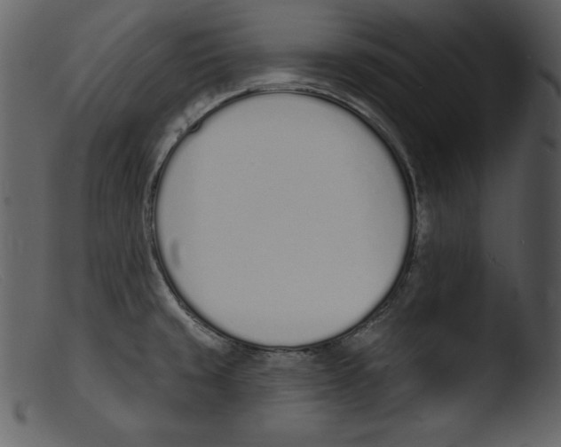 X0000103301429200809261302