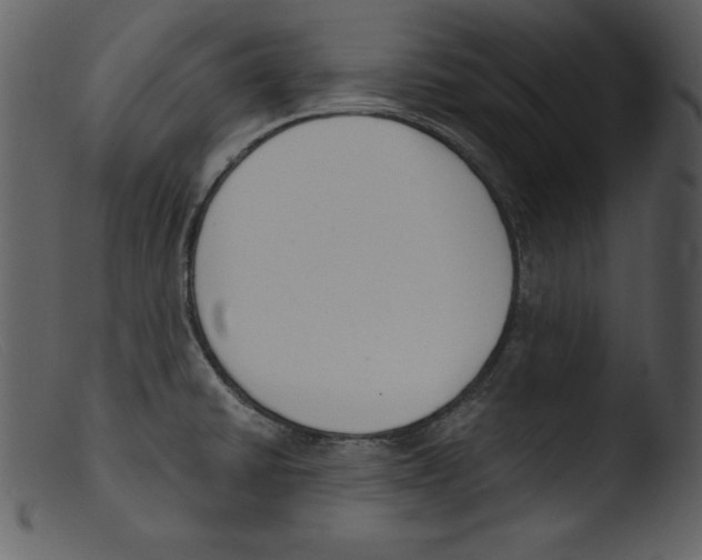 X0000103301430200809261302