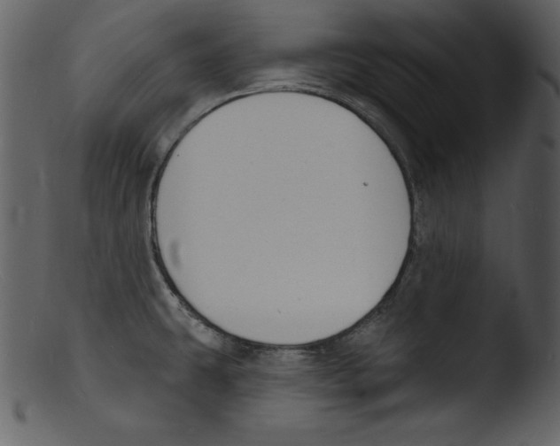 X0000103301431200809261302