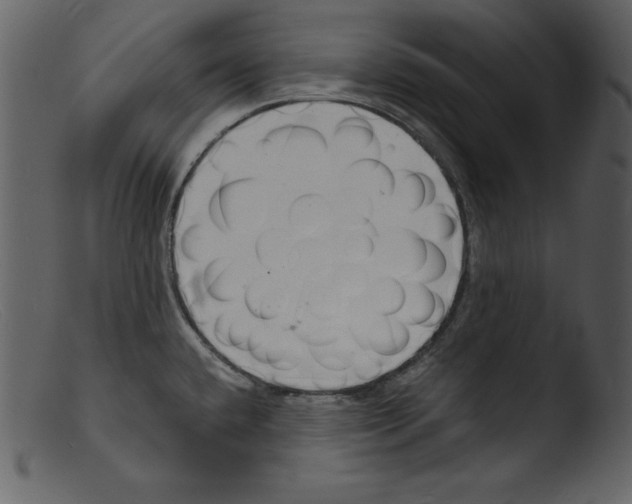 X0000103301432200809261302