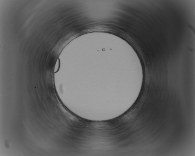 X0000103301433200809261302