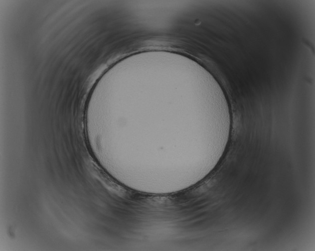 X0000103301435200809261302