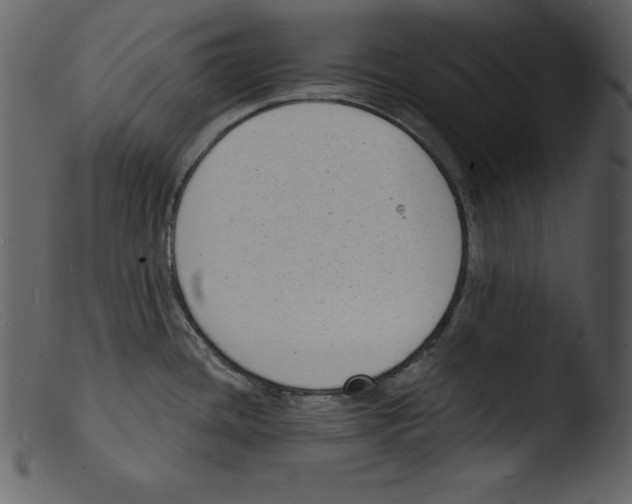 X0000103301436200809261303